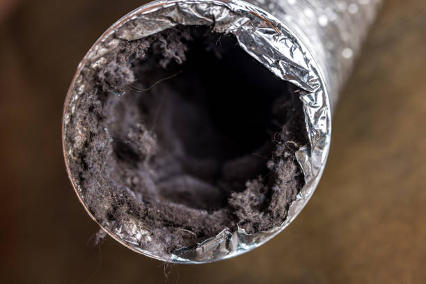 Best Professional Duct Cleaning Services  in Bristol, WI